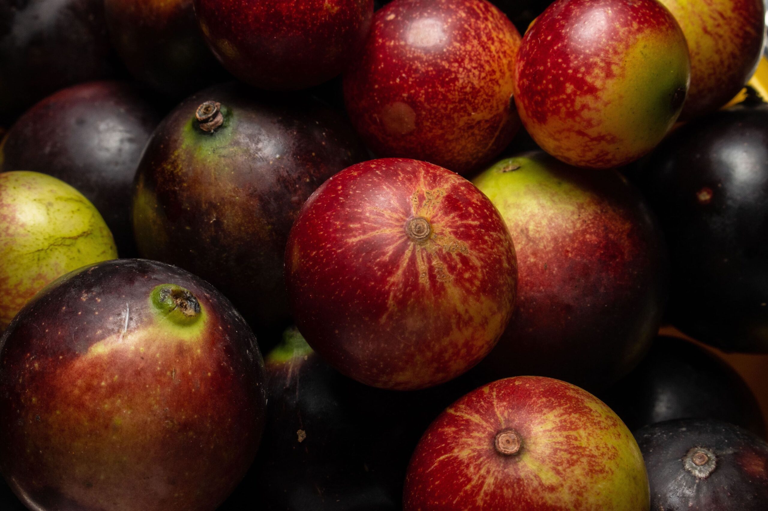 camu camu benefits
