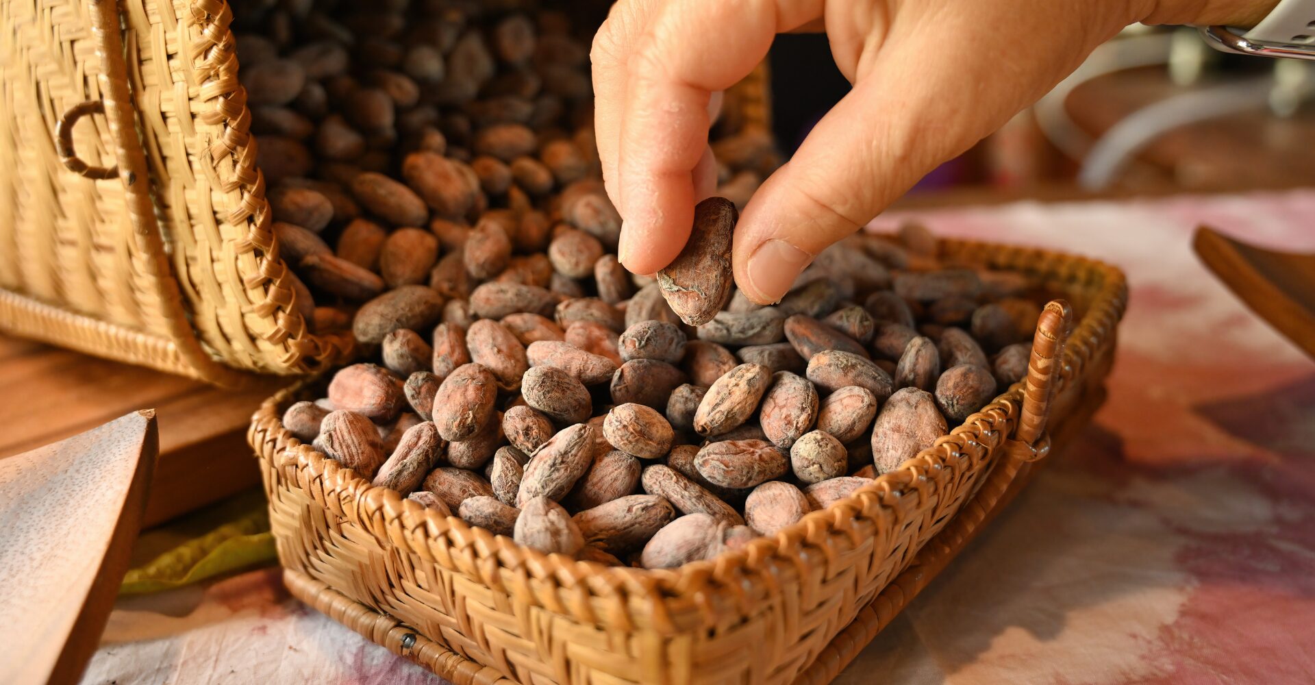 cacao nibs in a fermentation box