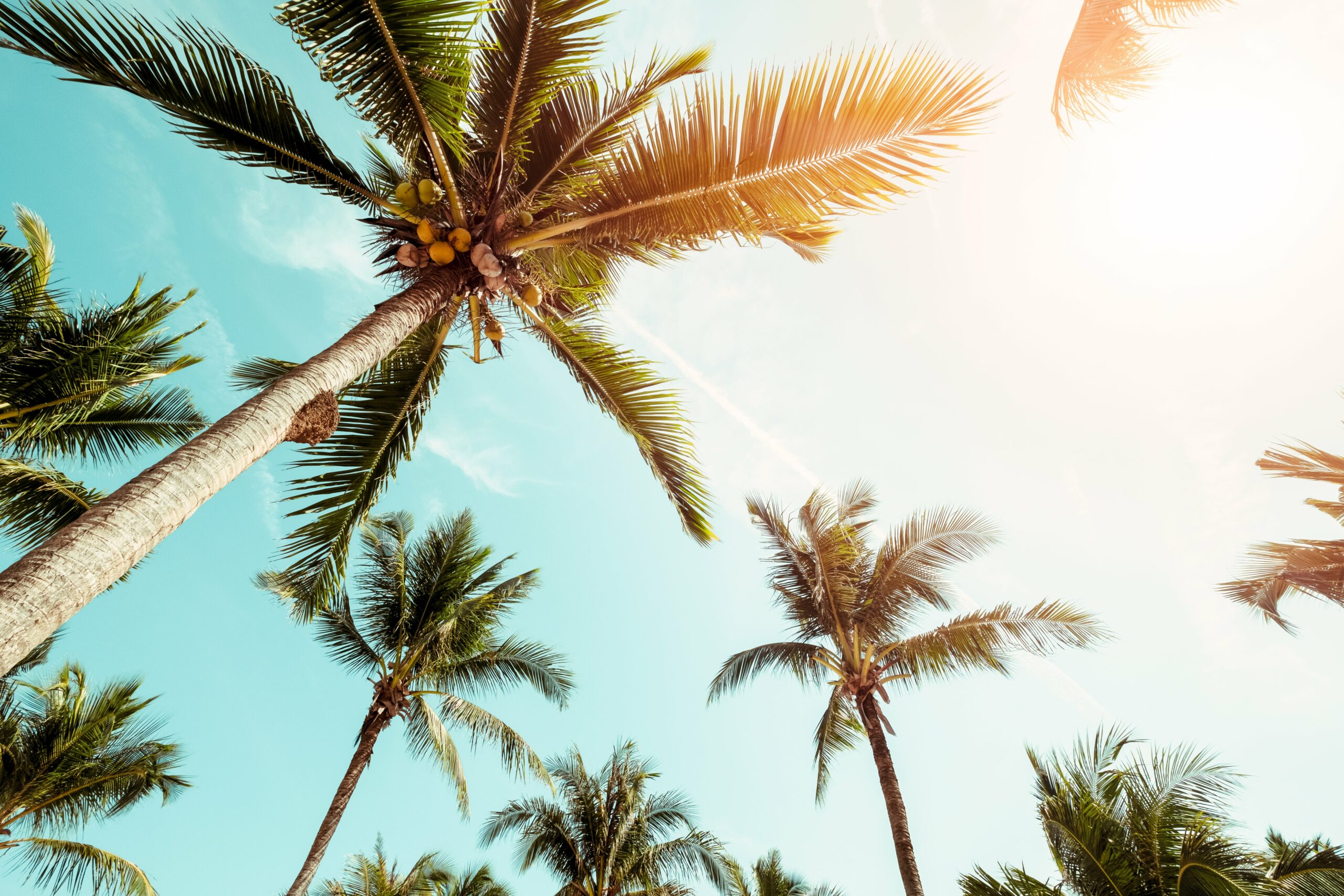 coconut water benefits
