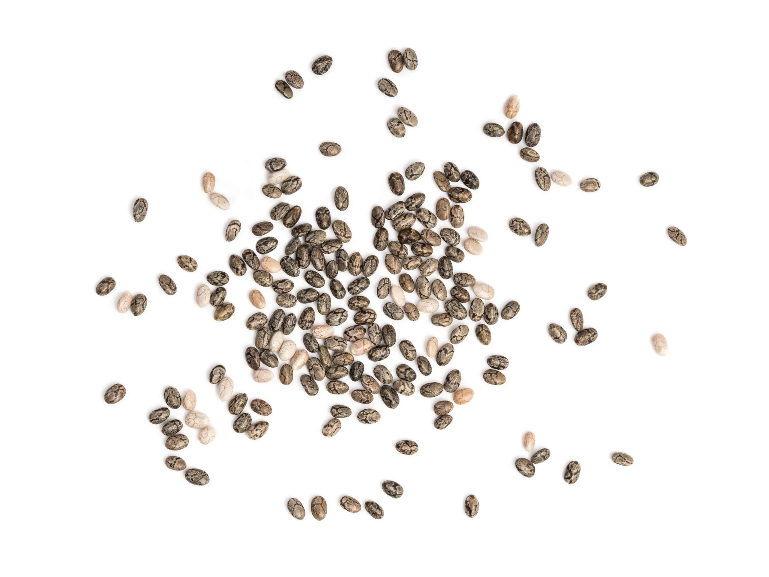 seeds and nuts