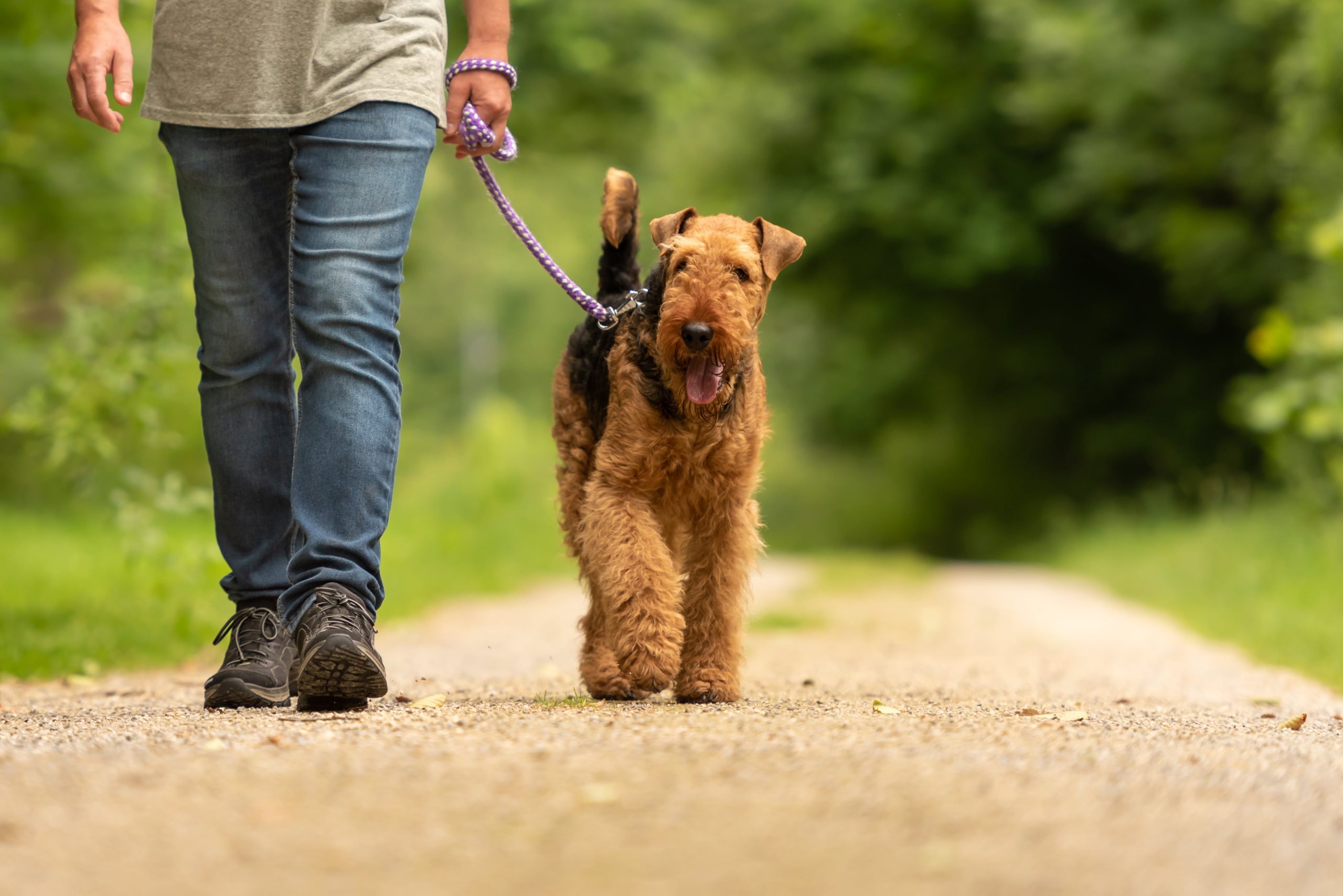 Instead of setting time aside for a workout, you can take part in physical activity throughout the day.