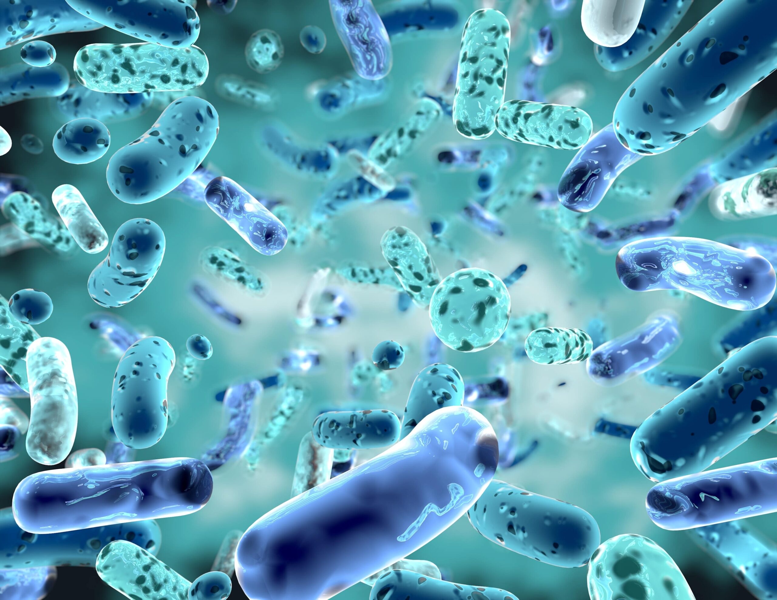 probiotics and your gut