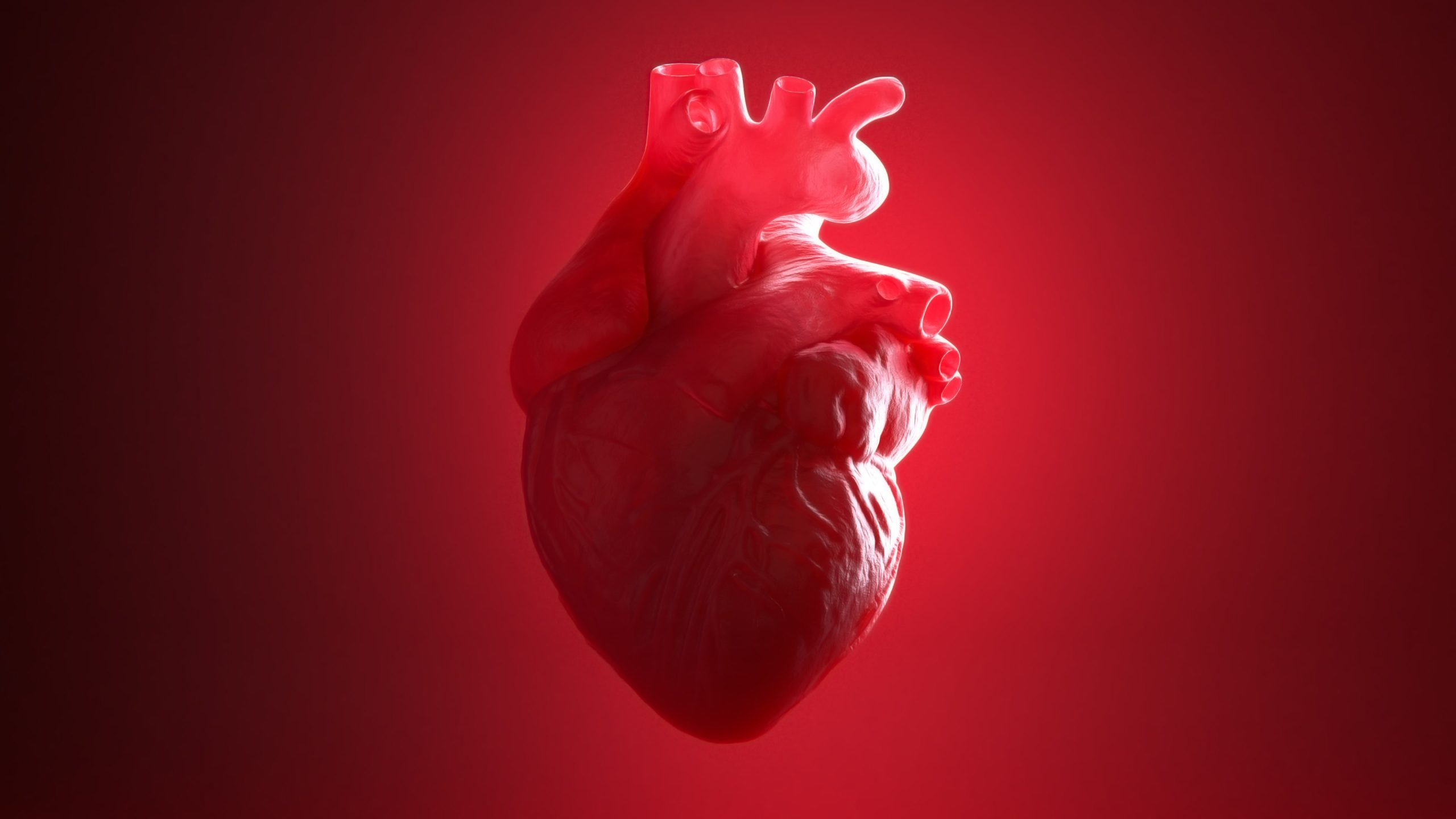 watermelon is also packed with numerous other vitamins, minerals, and amino acids that support a healthy heart.